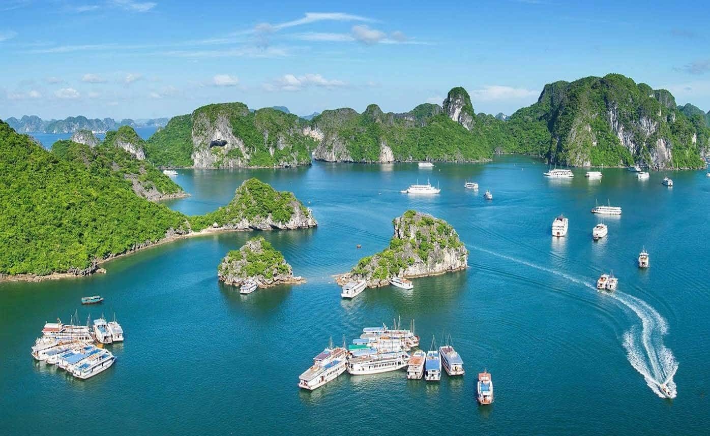 Tour du lịch Cát Bà- Vịnh Lan  2N1D